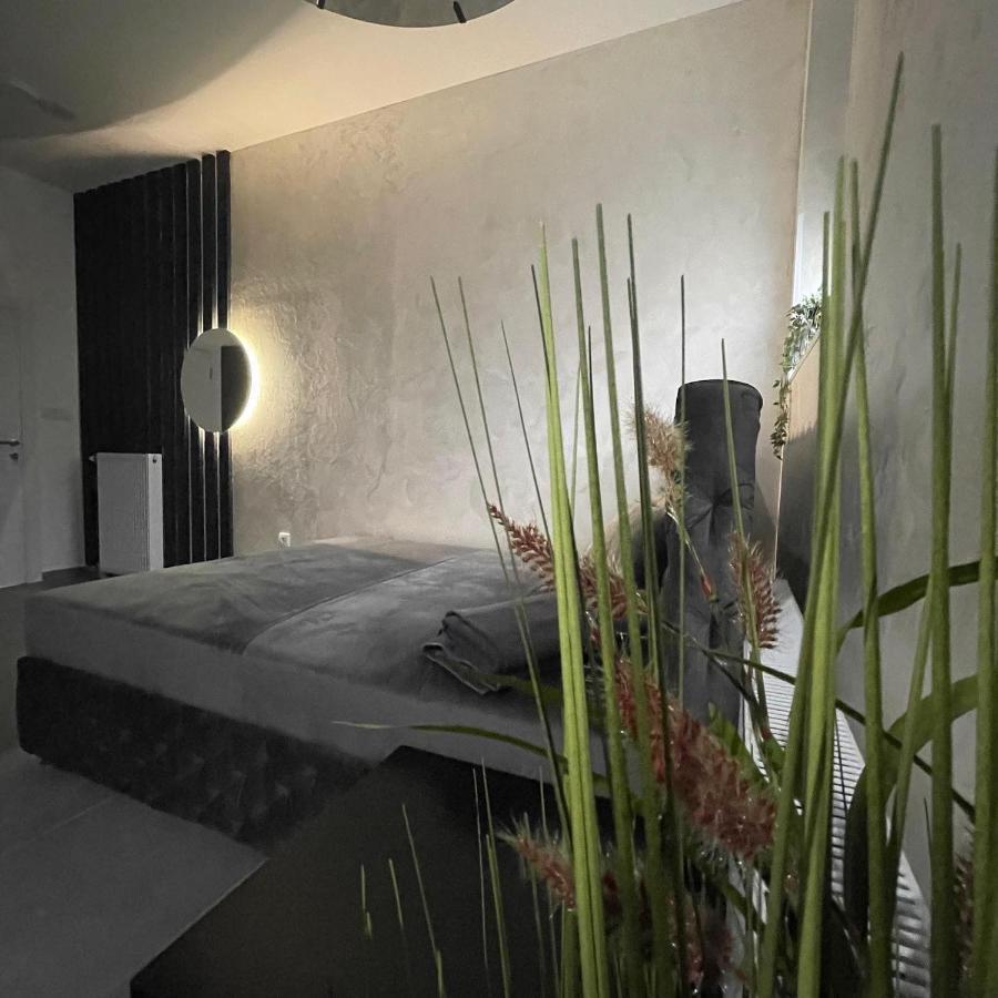 Tepic Garni Hotel Temerin Екстер'єр фото